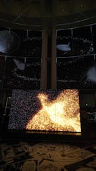 手塚治虫「火の鳥」展－火の鳥は、エントロピー増大と抗う動的平衡＝宇宙生命の象徴－に投稿された画像（2025/5/23）