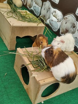 天王寺動物園に投稿された画像（2025/5/23）