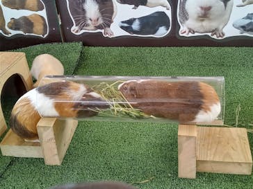 天王寺動物園に投稿された画像（2025/5/23）