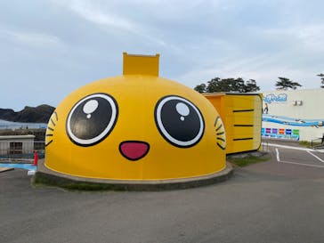 越前松島水族館に投稿された画像（2025/5/23）