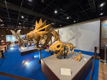 福井県立恐竜博物館に投稿された画像（2025/5/24）