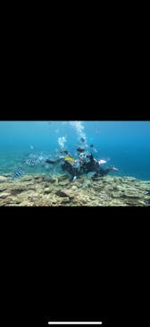 青の洞窟専門店　沖縄ダイビングショップ和に投稿された画像（2025/5/24）