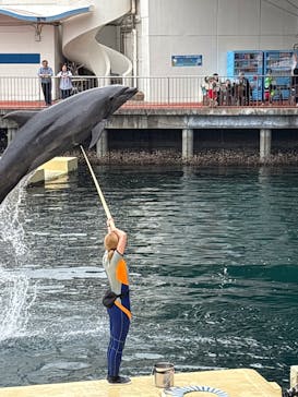 伊豆・三津シーパラダイスに投稿された画像（2025/5/24）