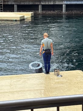 伊豆・三津シーパラダイスに投稿された画像（2025/5/24）