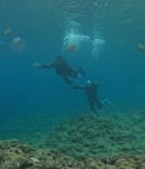 武藤潜水に投稿された画像（2025/5/24）