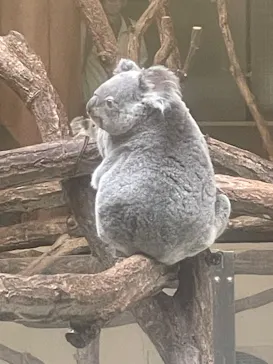 多摩動物公園に投稿された画像（2025/5/24）