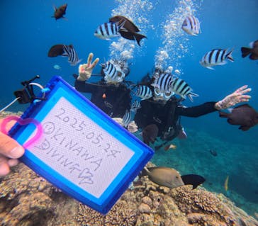 青の洞窟専門店　沖縄ダイビングショップ和に投稿された画像（2025/5/24）