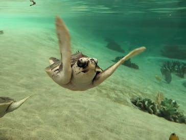 鴨川シーワールドに投稿された画像（2025/5/24）