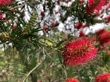 名古屋市東山動植物園に投稿された画像（2025/5/24）