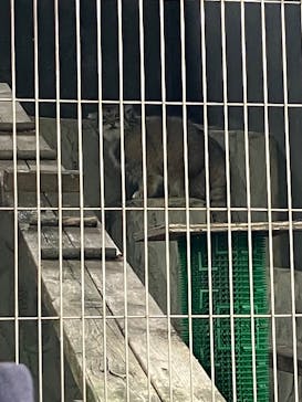 名古屋市東山動植物園に投稿された画像（2025/5/24）