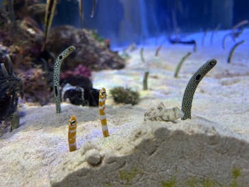 名古屋港水族館に投稿された画像（2025/5/24）