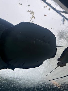 九十九島水族館海きららに投稿された画像（2025/5/24）