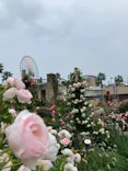 ひらかたパークに投稿された画像（2025/5/24）