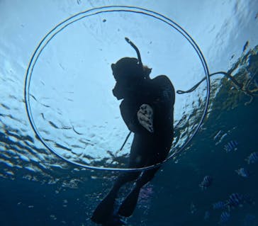 青の洞窟専門店　沖縄ダイビングショップ和に投稿された画像（2025/5/24）