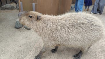 那須どうぶつ王国に投稿された画像（2025/5/24）