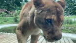 東京動物園協会_多摩動物公園に投稿された画像（2025/5/24）