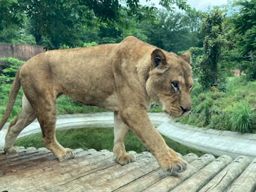 東京動物園協会_多摩動物公園に投稿された画像（2025/5/24）