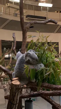 多摩動物公園に投稿された画像（2025/5/24）