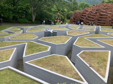 彫刻の森美術館に投稿された画像（2025/5/24）