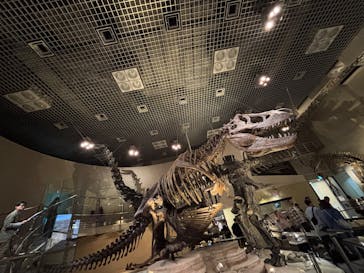 国立科学博物館に投稿された画像（2025/5/24）