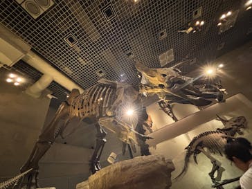 国立科学博物館に投稿された画像（2025/5/24）