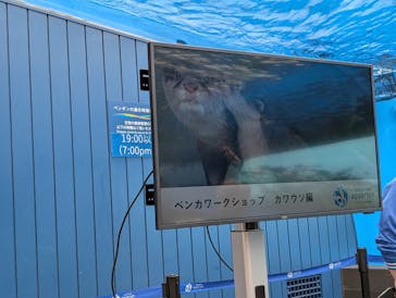 サンシャイン水族館に投稿された画像（2025/5/24）