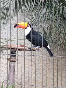 恩賜上野動物園に投稿された画像（2025/5/24）