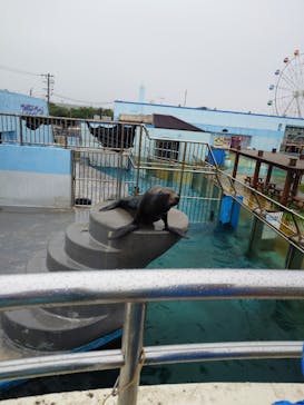 南知多ビーチランド＆南知多おもちゃ王国に投稿された画像（2025/5/24）