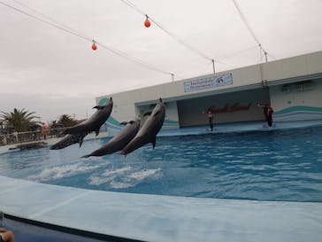 南知多ビーチランド＆南知多おもちゃ王国に投稿された画像（2025/5/24）