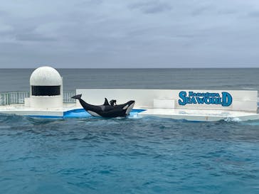 鴨川シーワールドに投稿された画像（2025/5/24）