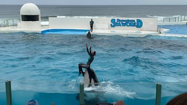 鴨川シーワールドに投稿された画像（2025/5/24）