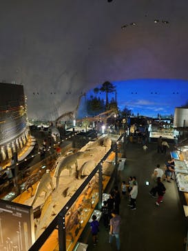 福井県立恐竜博物館に投稿された画像（2025/5/24）