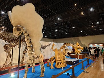 福井県立恐竜博物館に投稿された画像（2025/5/24）