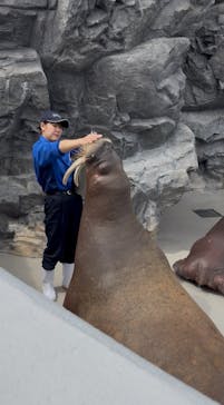 鴨川シーワールドに投稿された画像（2025/5/24）