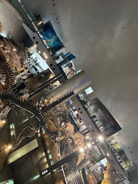 福井県立恐竜博物館に投稿された画像（2025/5/24）