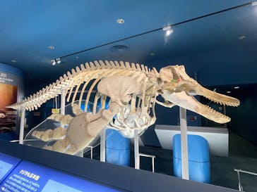 名古屋港水族館に投稿された画像（2025/5/24）