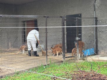 名古屋市東山動植物園に投稿された画像（2025/5/24）