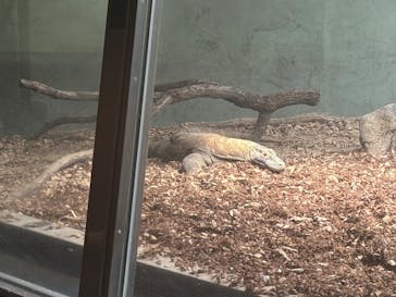 名古屋市東山動植物園に投稿された画像（2025/5/24）