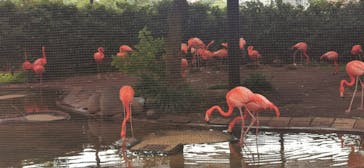 恩賜上野動物園に投稿された画像（2025/5/24）