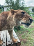 東京動物園協会_多摩動物公園に投稿された画像（2025/5/24）