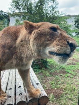 東京動物園協会_多摩動物公園に投稿された画像（2025/5/24）