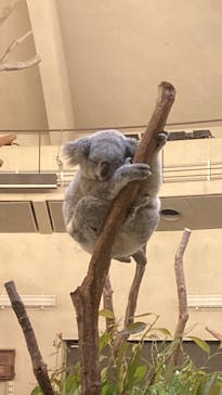 東京動物園協会_多摩動物公園に投稿された画像（2025/5/24）