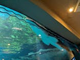 しながわ水族館に投稿された画像（2025/5/24）