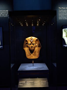 ACN ラムセス大王展 ファラオたちの黄金に投稿された画像（2025/5/24）