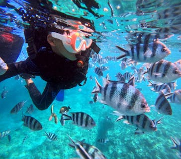 沖縄ダイビングショップシーモールに投稿された画像（2025/5/24）