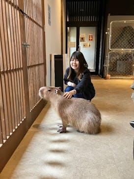 おさるランド＆アニタウン　日光さる軍団劇場に投稿された画像（2025/5/24）