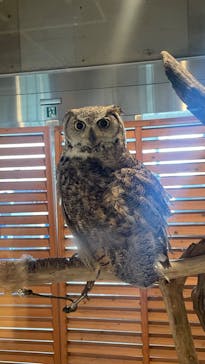 霞ケ浦 どうぶつとみんなのいえに投稿された画像（2025/5/24）