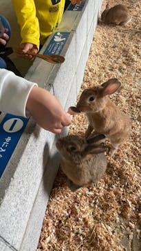 霞ケ浦 どうぶつとみんなのいえに投稿された画像（2025/5/24）
