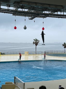 マリンワールド海の中道に投稿された画像（2025/5/24）