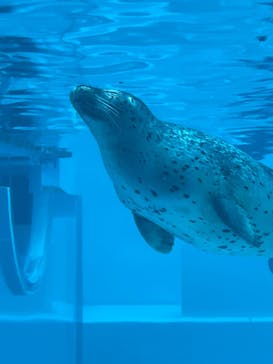 マリンワールド海の中道に投稿された画像（2025/5/24）